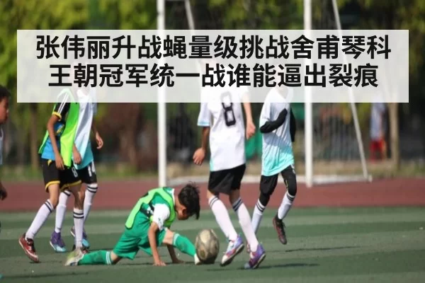 张伟丽升战蝇量级挑战舍甫琴科王朝冠军统一战谁能逼出裂痕